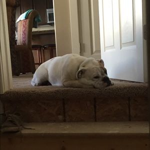 Meet your Posher, Brittney